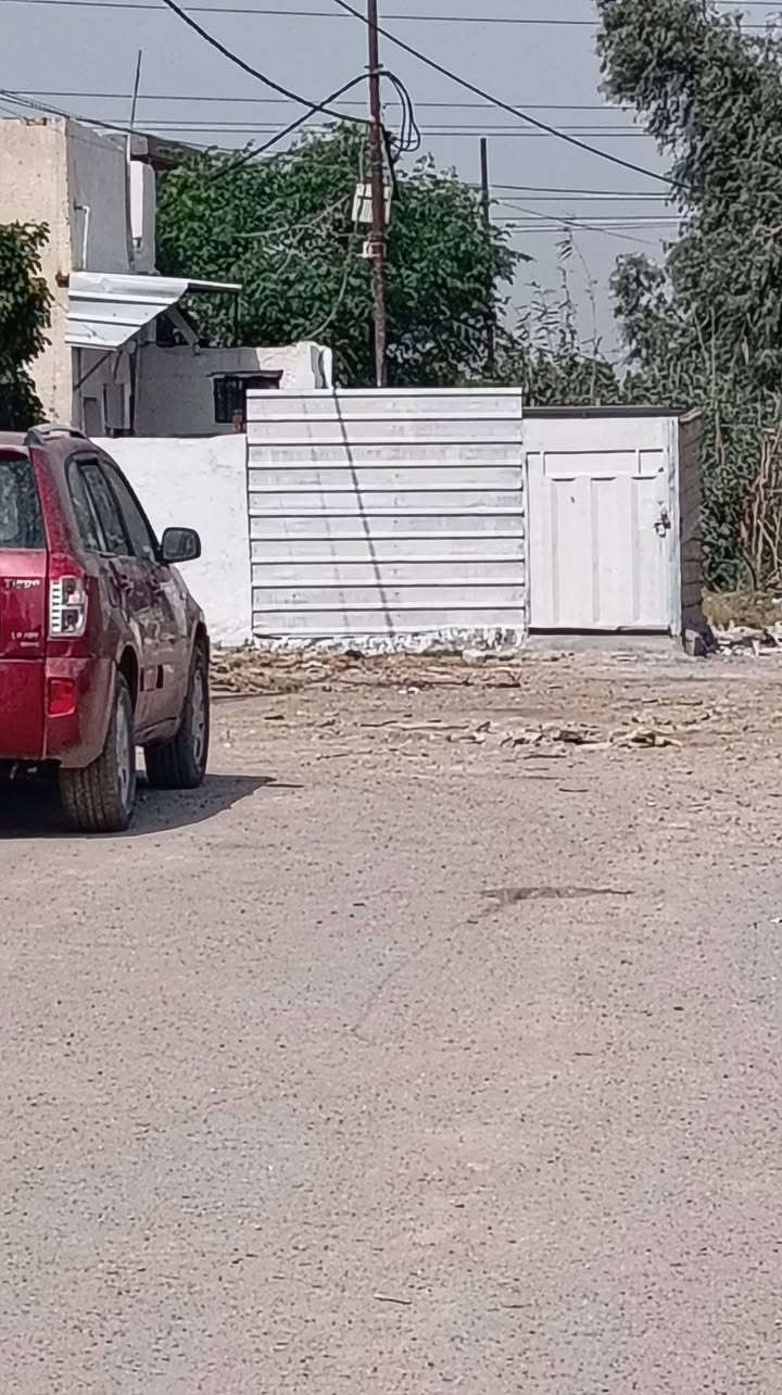 المحمودية حي القادة • ٨٠م • حديقة