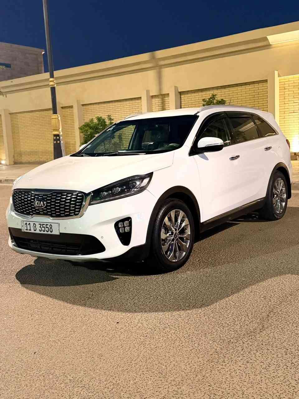٢٠١٩ • ٦ سلندر • ٧ راكب