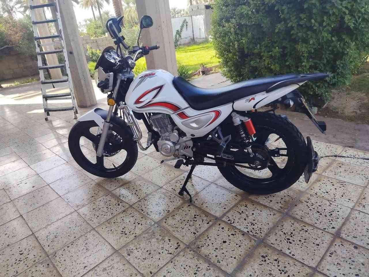 سنكي • ٢٠٢٣ • تحويل مباشر