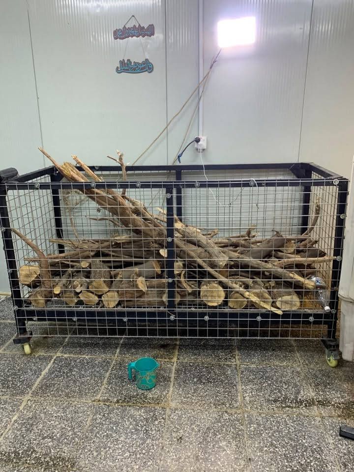 مشوايه • حوض وغطاس • بغداد البلديات