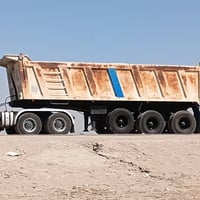 عربانة علم • ٢٠١٤ • مكفولة