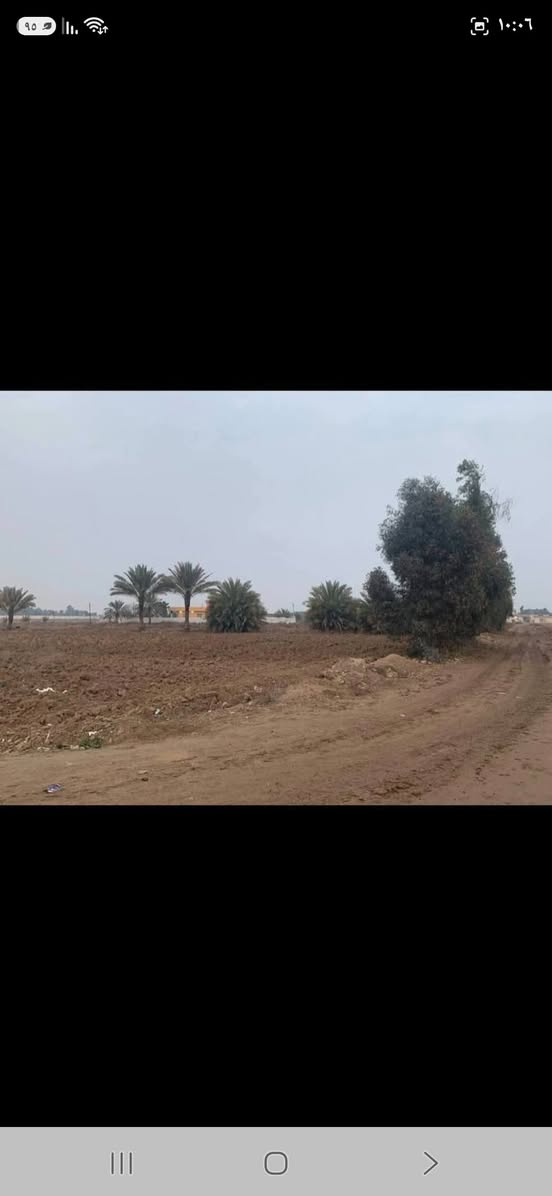 #للبيع 
ارض زراعي ٢ دونم 
سند ٢٥ 
الموقع اطراف بغداد قرية المراسمة قريبة من الفلل 
***********
