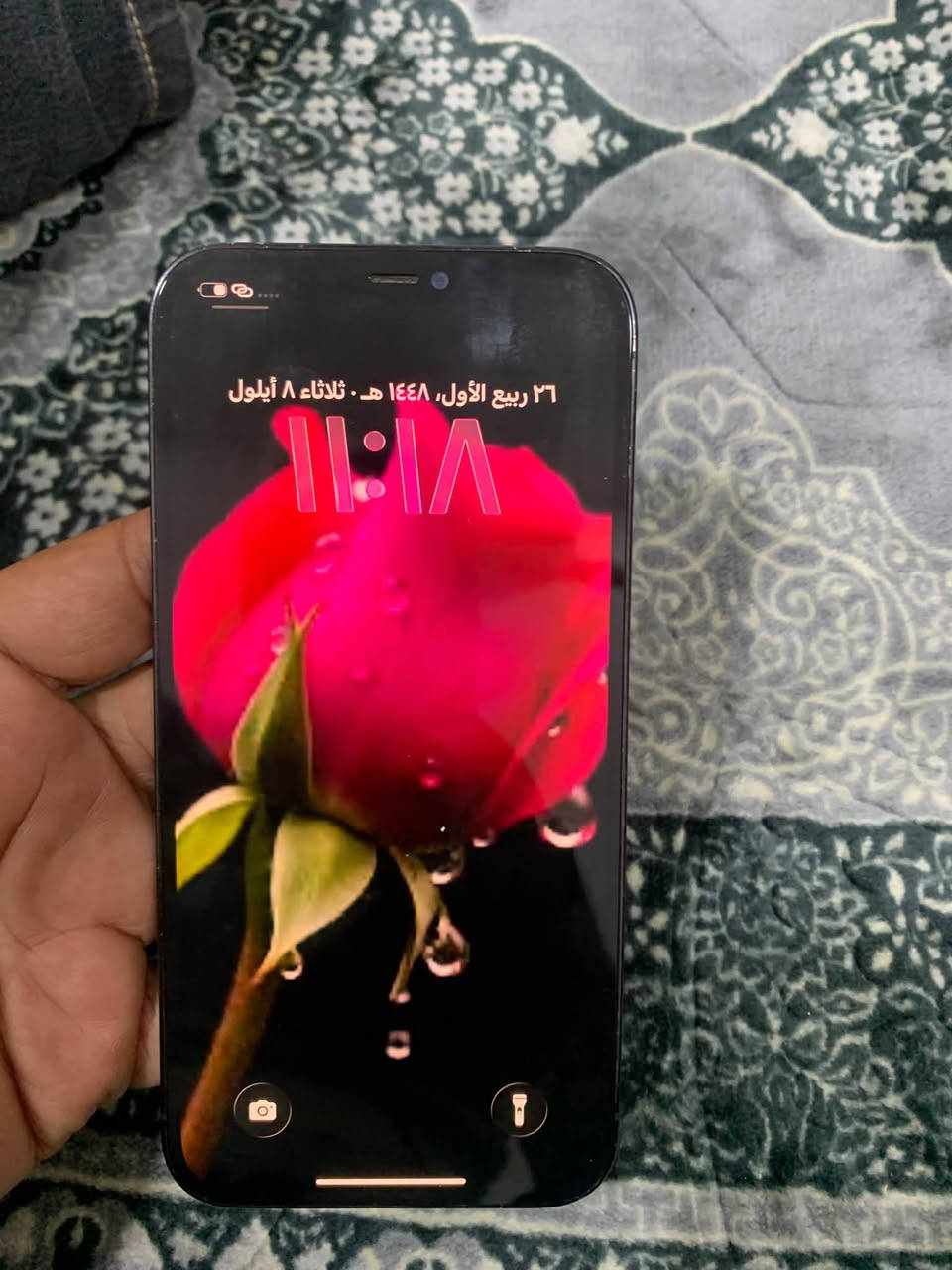 ١٢ برو ماكس ٢٥٦ فيس إيدي شغال 
ضهر مفطور. برهم مراوس 
مابي اي خلل. كأمره فول 
سعره ٢٥٠ قفل قفل بغداد ***********
مبدل بطاريه كامره اصليه
