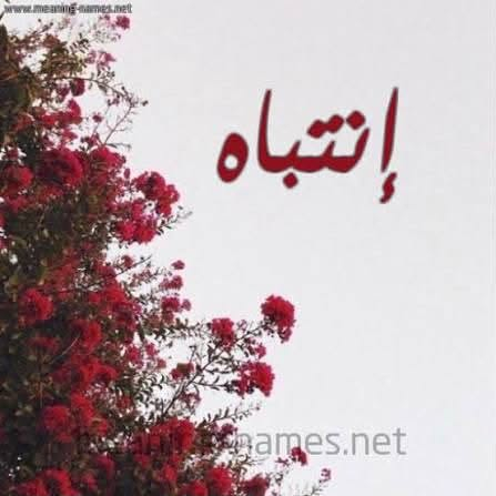موضفة • كوزمتك • كلية اليرموك