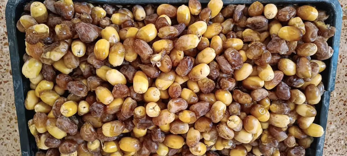 بستان للضمان 30 نخله نوع شويثي 
***********
