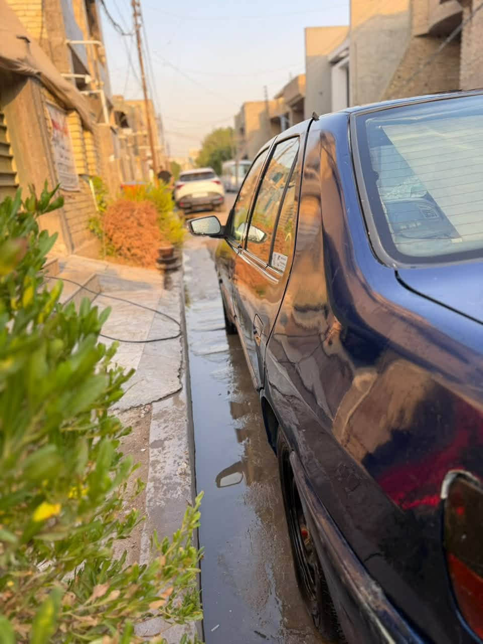 السلام عليكم 
بيجو 306 
كير مكينه خير من الله تبريد
تخم تاير صدر امامي خلفي
كهربائيات كله جاهزه ما بيه نقص
بيه بس مشط ستيرن تعبان
رقم انكليزي تحويل مباشر
مكان السياره السيديه
السعر 32 وبيه مجال بصيط حك جيه
وهاذه رقم متوفر واتساب ايضن
***********
