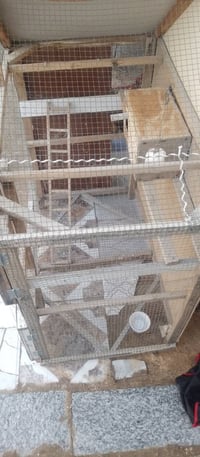 قفاصة • اثنينهن • الفلوجة