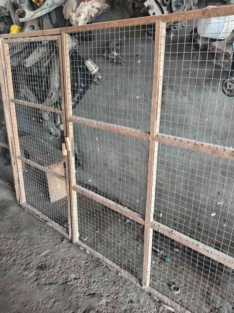 طيور • عصافير • الزعفرانية