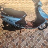فراشه • شغاله • تايرين