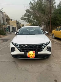 توسان • ٢٠٢٤ • مكفولة صبغ