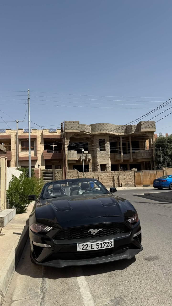 للبيع موستانك 2019 كشف فووول
رقم اربيل 

سنويه جديدة

 وهزة جديدة ٢٠٢٧ 

وبيها كوبون حكومي للبانزين 

والسيارة باسمي وتحويل مباشر

حادث فقط جاملغ خلفي وشبر باب صور حادث منزلها +  شبر تعديل بارد فوك الايت وصباعتين راس جاملغ

1fatp8uh9k5104778

ماشيه ٤٦ الف مايل

محرك اربعة سلندر ايكو بوست

كير محرك شرط وضع شركة

نظيفة جدا السياره وبالواقع احلى من الصور

السعر:160 ورقة وبيها مجال

رقم التواصل ***********

السيارة فوووول مواصفات .. شاشة جبيرة … كشنات جلد .. كشنات هيتر .. كشنات تبريد .. كشنات كهرباء .. داخل V الوان .. لايتات فول زينون وليدات وبك لايتات ليد .. بصمة تشغيل بصمة ابواب تشغيل عن بعد

السيارة تايرات وصدرها وكلشي بيها جديد وبدون مصرف
