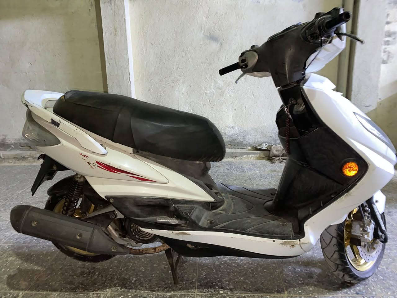 سكنس فحل • ٢٠١٢ • معدل