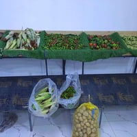 ميوزه امخضر • ٤ قطع • ٢ متر