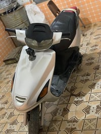 فراشه فحل • نضيفه • البصره