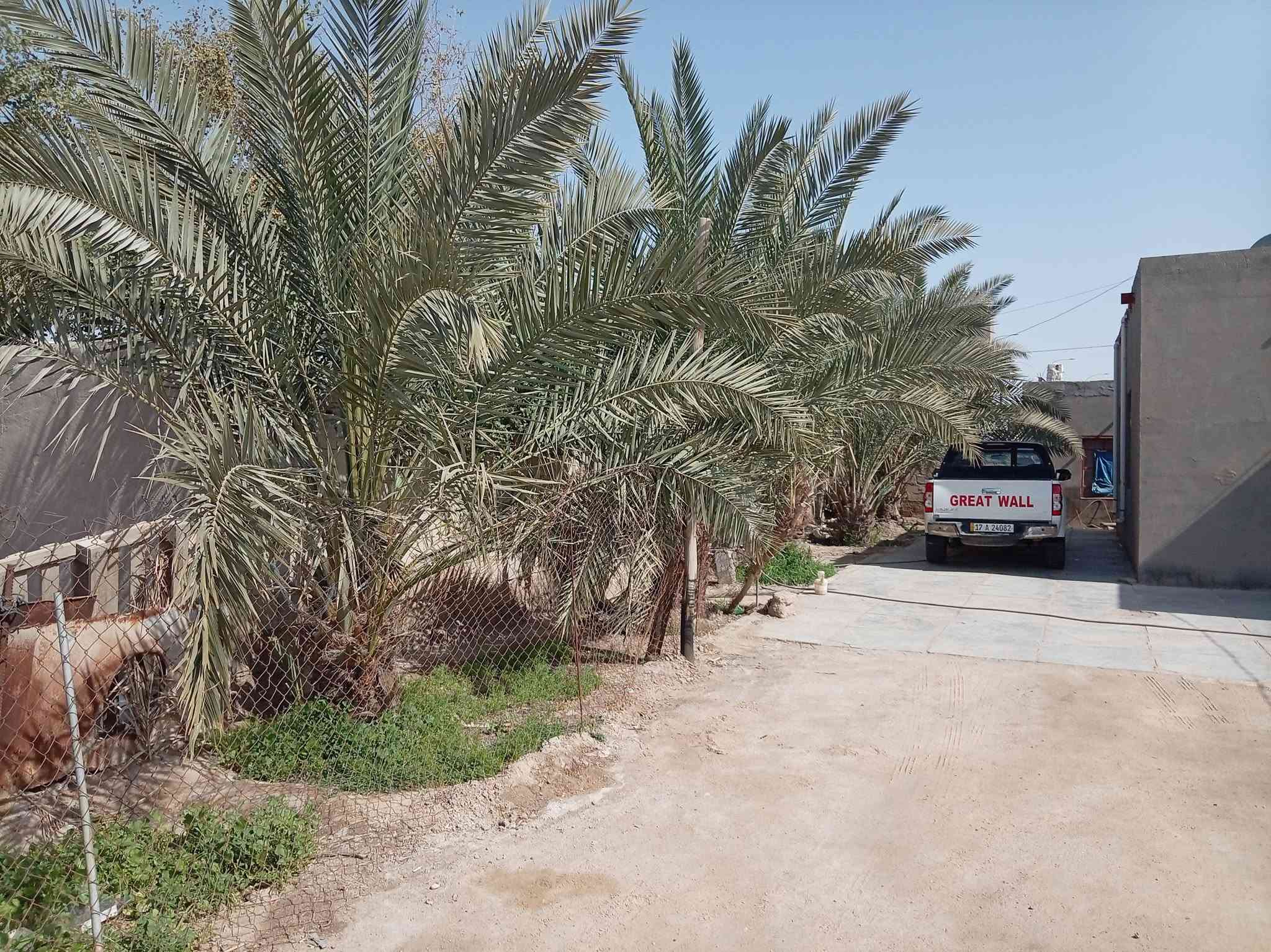 البوحجر الدسيم • ٤ غرف • خدمات تمام