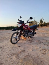 هاوجي • ٢٠٢٥ • بيش