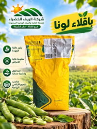 🌱 باقلاء لونا الإسبانية 🇪🇸  🔥الكمية محدودة جدا 🔥  بذور باقلاء لونا الإ...