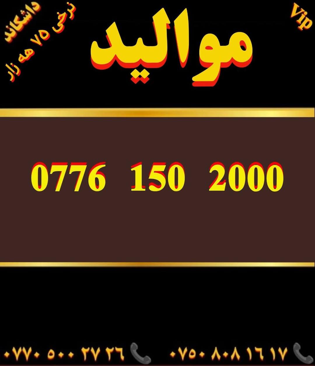 VIP مواليد • بدون تفاصيل • داشكاند