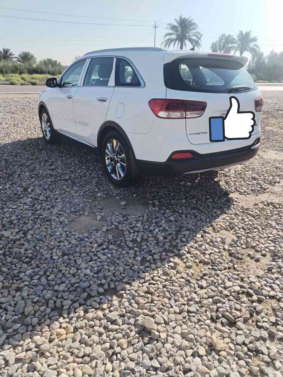 سورنتو خليجي • ٢٠١٦ • ٧ راكب