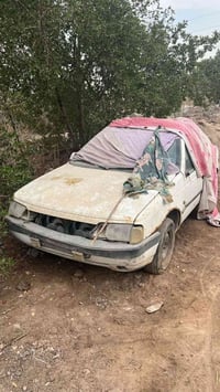 بارص • ٢٠١٢ • ميسان