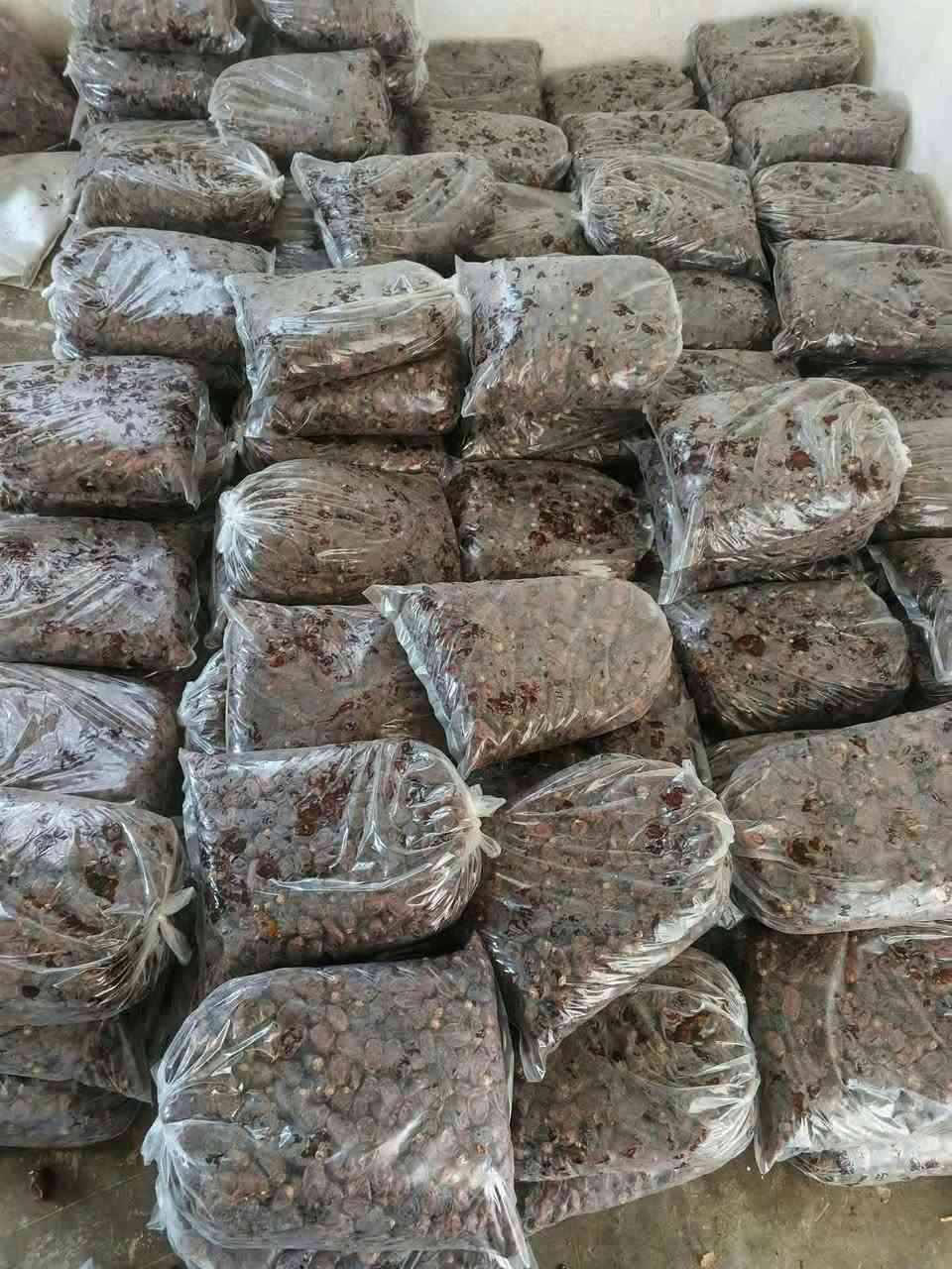 تمر • جملة • الغربيه هيت