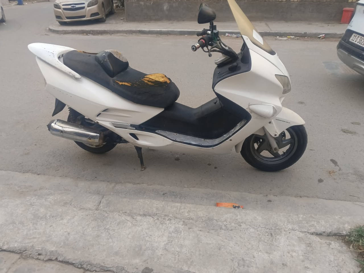 فورزه 06 • فحل • معدل يخبل