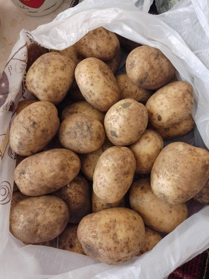 خضروات طازجة • فواكه طازجة • توصيل الديوانية