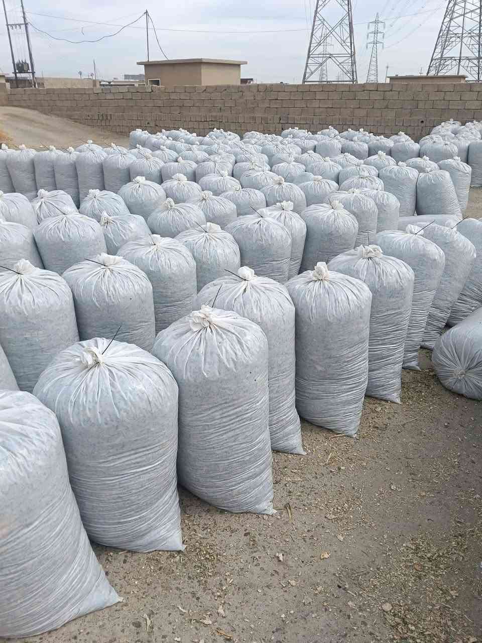 تم تجهيز طلبيات سيلاج الذرة عالي
الجودة للاخوانا في محافظاتنا العراقيه لهذا اليوم بتاريخ3/10/2026 🌾
​تعلن [مكتب وادارة ابو سجاد ] عن توفر سيلاج ذرة ممتاز بأعلى المواصفات والقيم الغذائية، بنسبة حبوب عالية  الجودة والنظافة لفترات طويلة. يساهم منتجنا بشكل مباشر في زيادة إنتاج الحليب واللحم مع توفير ممتاز في تكاليف الأعلاف. نوفر كميات جملة ومفرد بموازين دقيقة مع خدمة التوصيل والتحميل المباشر إلى جميع المحافظات  لجميع المزارعين ومربي الحلال.
📞 للحجز والاستفسار: ***********
***********
