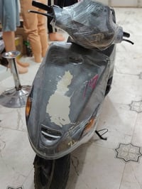فراشه • مشروگه • المجر الكبير