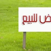 اسواق التوت • ١٠٠م • سند اصفر
