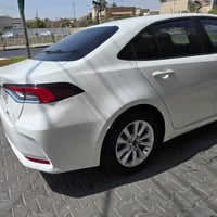 كورولا • خط طالبات • جامعة بابل