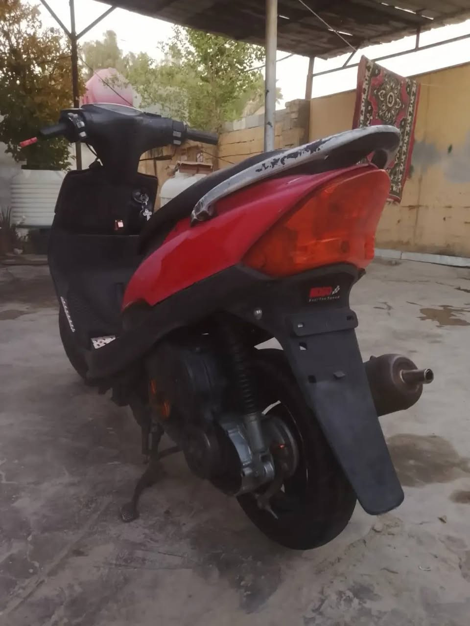 كفر احمر جارد ليطه نص ونص يطبك عادي 
للمراوس بكفر اسود او ابيض بلادي ماريد تجاري 
مكاني ديالى بعقوبه
