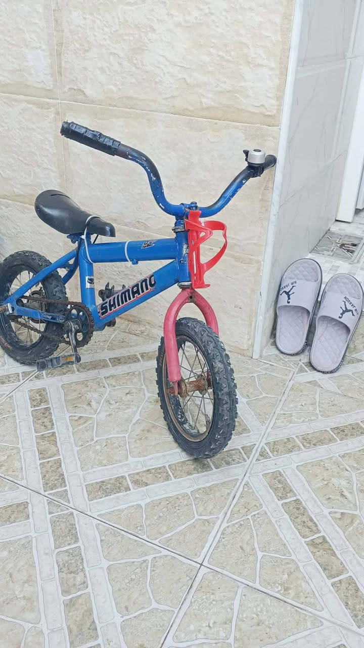Hamoudi
+964 750 243 5438
