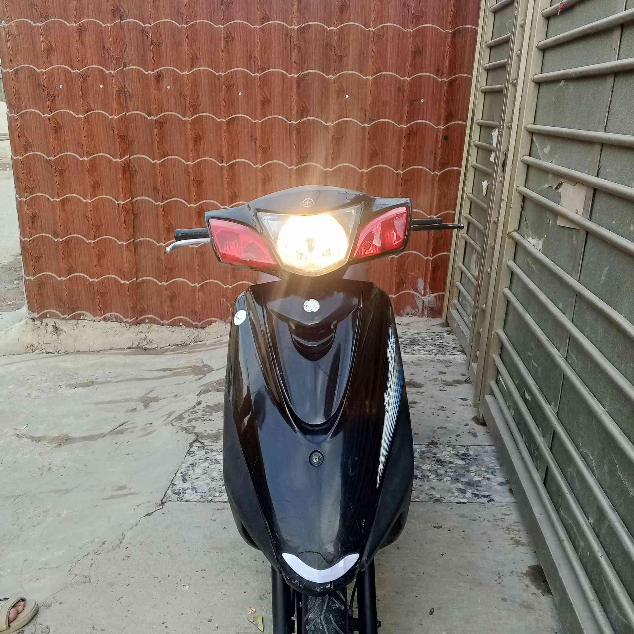 فريز ببغاء • نوزل خطين • ١٤٠