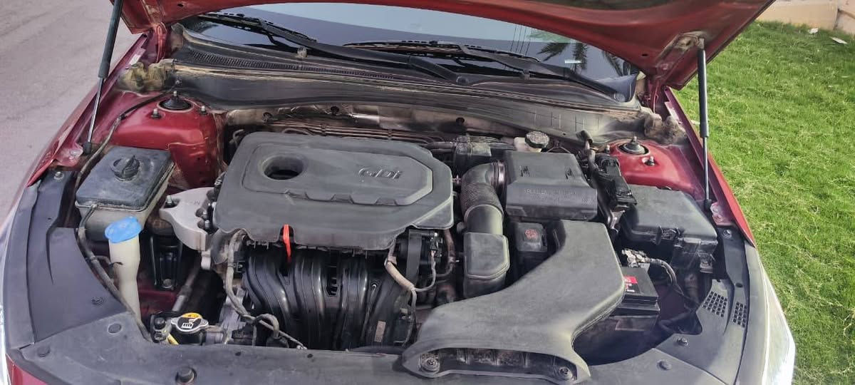 السلام عليكم
Kia Optima S 2019

وارد امريكي 

حادثها چاملغ السايق مصلح بدون ايرباگ

صور الحادث مرفقه

لون السياره ماروني

المواصفات 

1) كاميرا خلفيه

2) مكينه 2,400 GDI

3) شاشه كبيره Android Auto و Apple Car Play

4) رادار امامي و خلفي و جانبي

5) حساس خلفي 

6) تحديد مسار 

7) مثبت سرعه 

8) كشنات جلد و مخمل

9) كشن السائق كهرباء

10) تحكم بالستيرن

11) اشاير بالمري

12) نقطه عمياء

13) لد امامي و خلفي

14) حساس اطارات

15) ثلاث وضعيات قياده ايكو و عادي و سبورت

رقمها بغداد

السياره ماشيه 77 الف ميل قابل للزياده 

السعر  اكتب رقم 1 

للتواصل وتساب ***********
