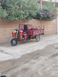 ستوته • ديوان • ٢٠١٩