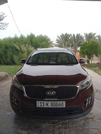 ٢٠١٧ • ٧ راكب • ضرر امامي