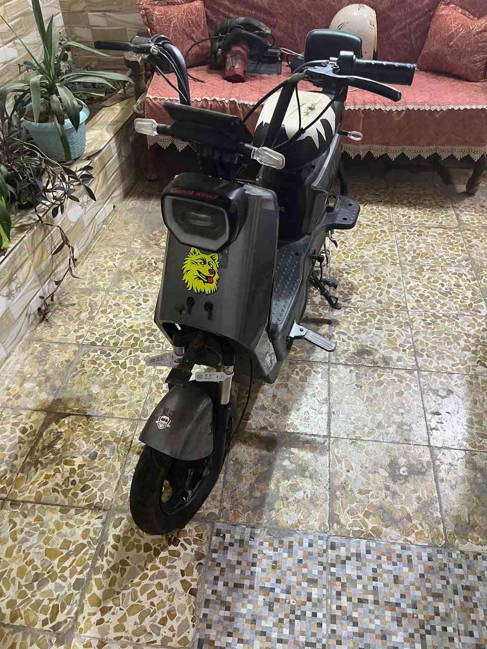 ماطور شحن • نظيف • موصل