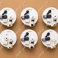 فيت بم • كروز ٢٠١٧ • شوفرليت