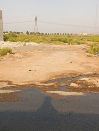 بوب اشام • ١٢٥م • واجهة ٥م