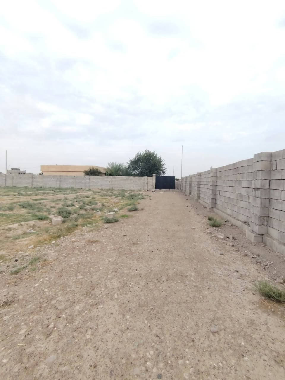البوهيازع • دونم وربع • مسيجة