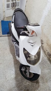 سكنس فحل للبيع او المراوس عدله حسب القناعه درجة حلوه من كلشي كامله اي ...