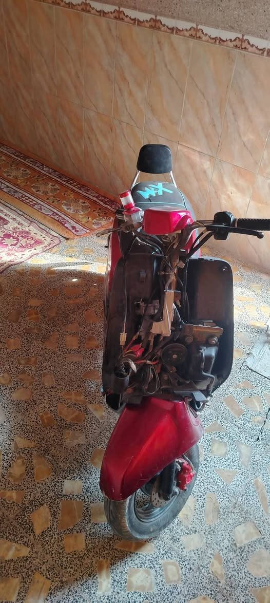 ماكس بوليسي • نضيفه • نجف