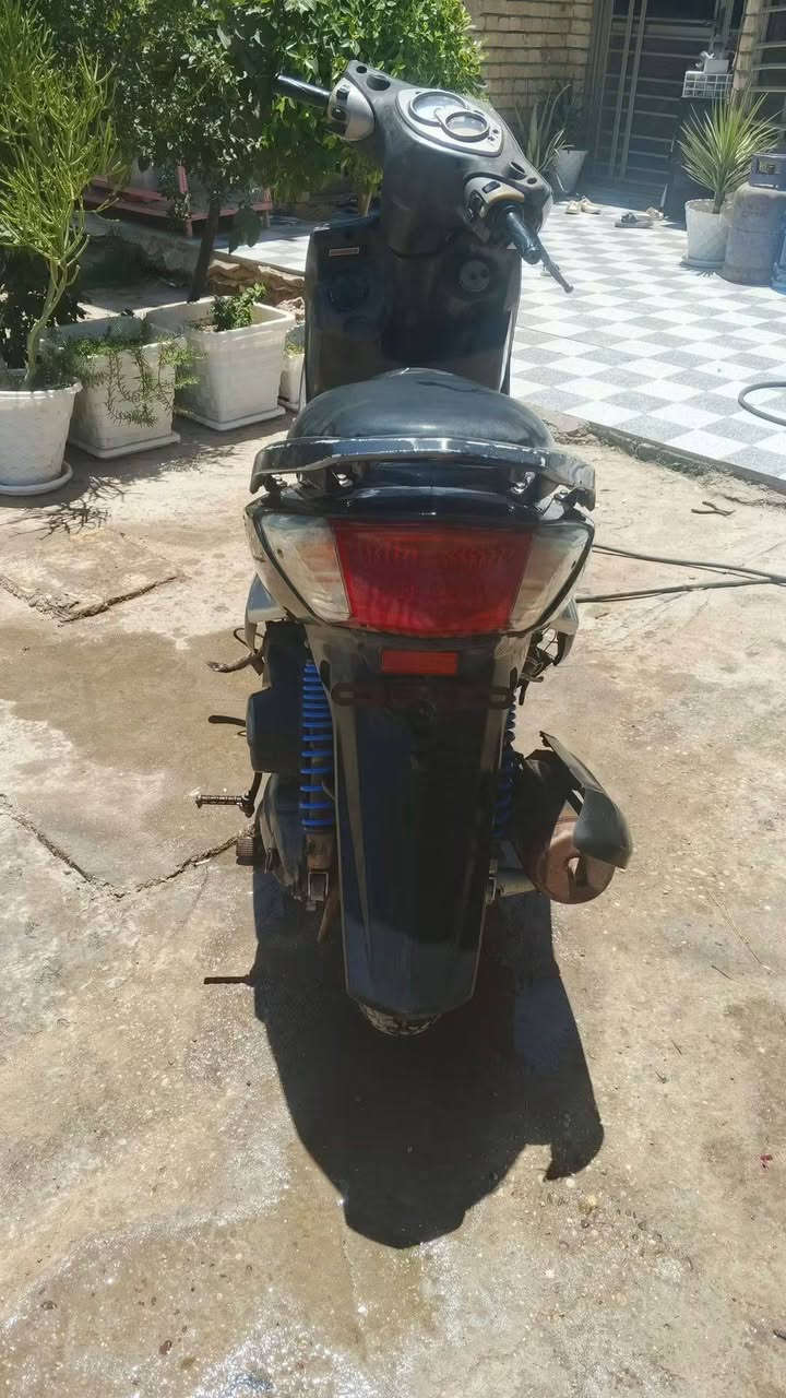 سكنس فحل • ياباني • مكينة ناعمة