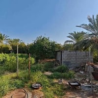 نص دونم طابو صرف للبيع العنوان المدائن منطقة التويثة خدمات كاملة مع بي...