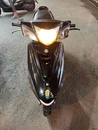 بريز • معدل • بغبغاء