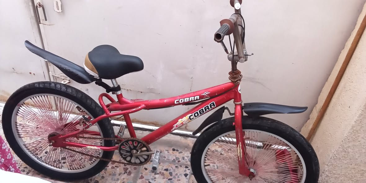 سلام عليكم عندي باسكل BMX للبيع كامل المواصفات مابي عطلات كله جاهز الابريك مالته بايدر جاملغ جدد كله كامل تايراته حجم 20 السعر80 وبي مجال حك الجيه العنوان بغداد الري الرقم ***********
