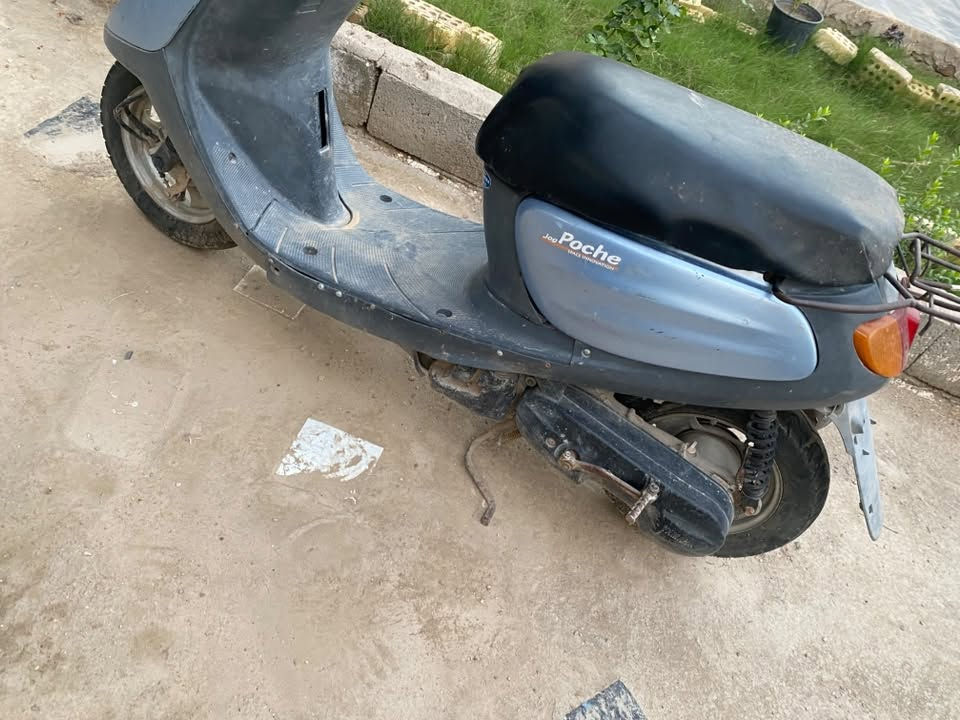 منغولي • جاهزه