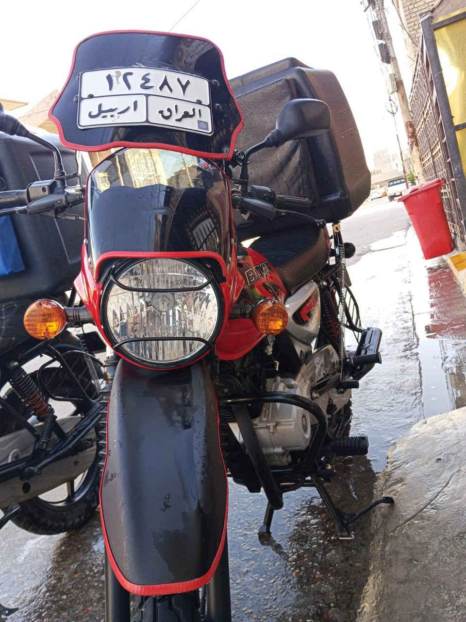 بوكسر • جبلي • اربيل