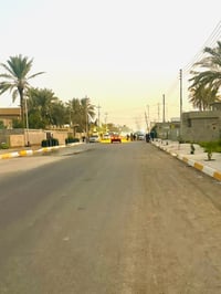 طابو زراعي • ٢٥٠م • شارع حاج سماعيل